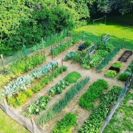 Image de La Petite Ferme