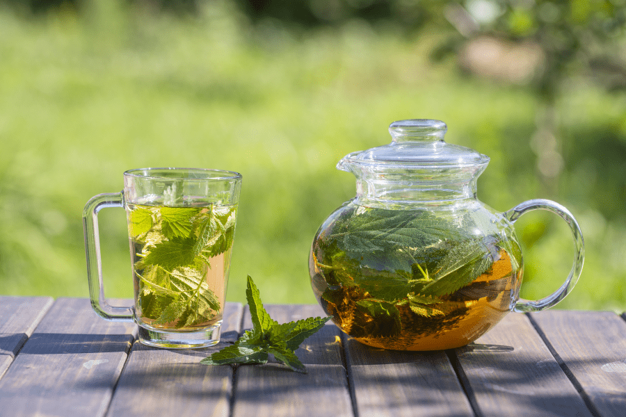 Thé au Thym Citron et à la Menthe Poivrée