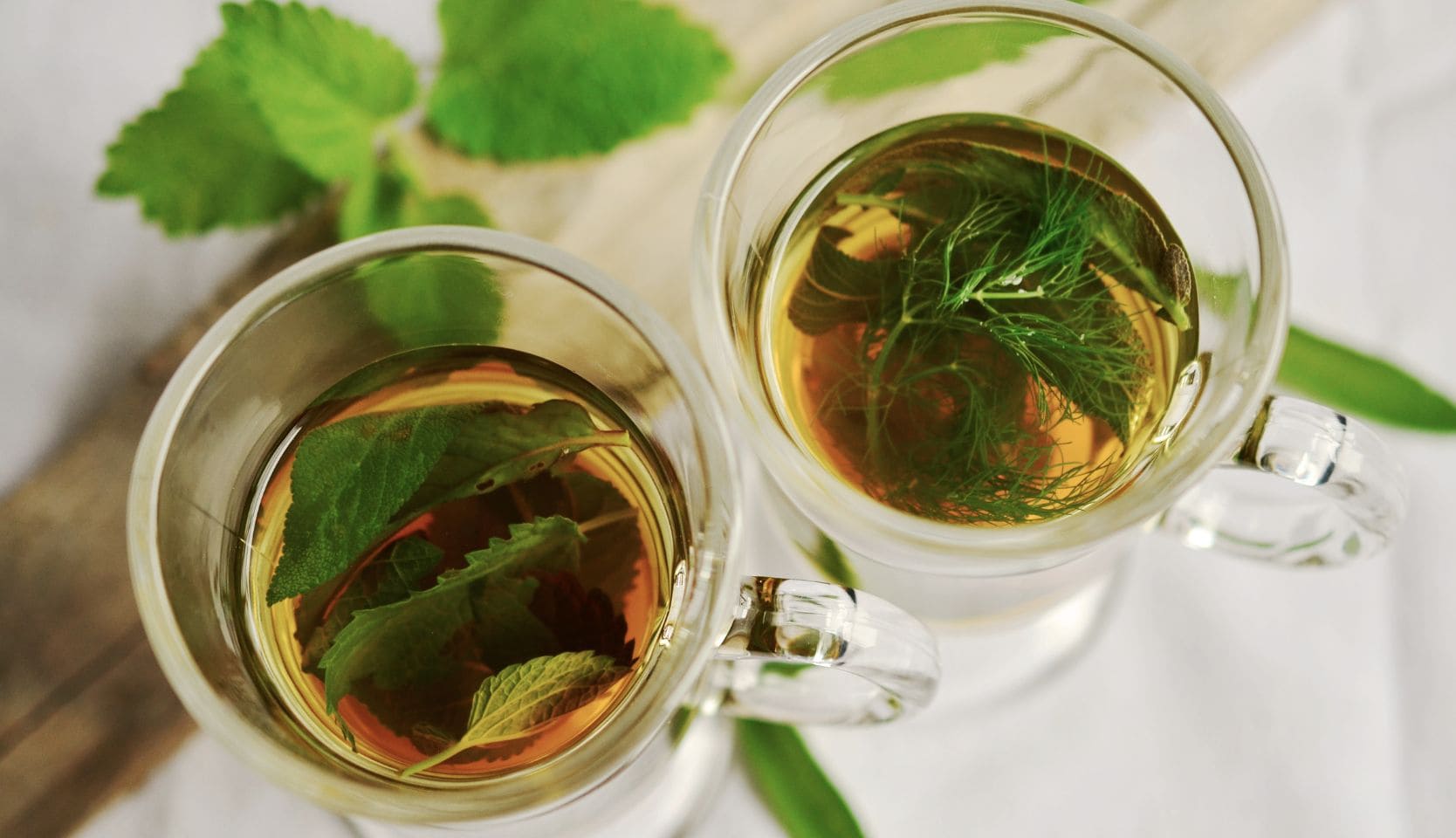 Thé à la Verveine Hollywood Menthe et au Thym Commun